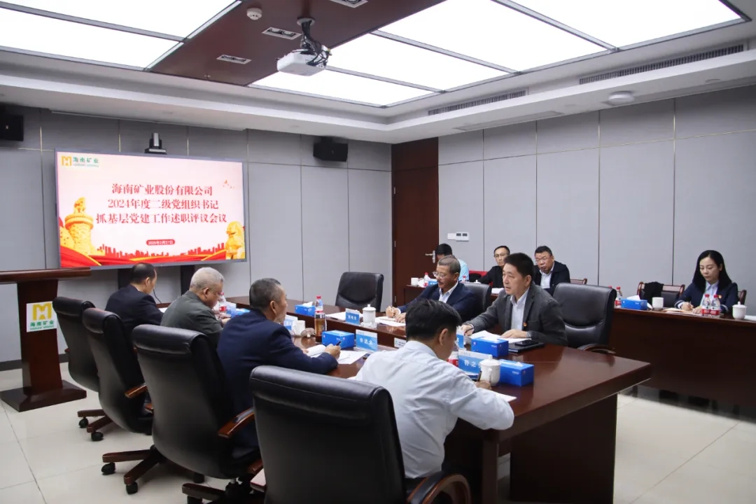 海南矿业党委召开2024年度二级党组织书记抓基层党建工作述职评议会议